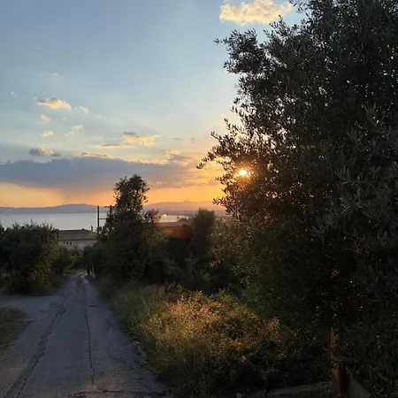 Verga Olive Grove * Каламата